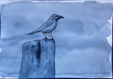 Bird with penis - mixed media on paper - 12,5 x 18 cm