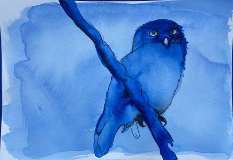 Owl with penis - mixed media on paper - 12,5 x 18 cm