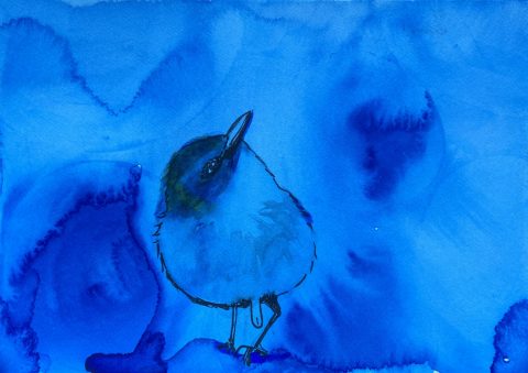 Sparrow with penis - mixed media on paper - 12,5 x 18 cm