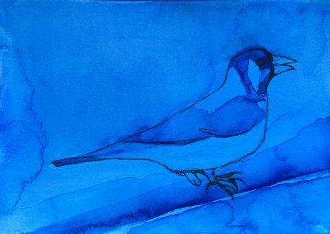 Finch with penis - mixed media on paper - 12,5 x 18 cm