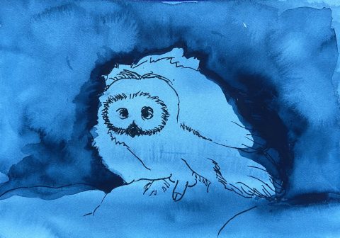 Owl with penis - mixed media on paper - 12,5 x 18 cm