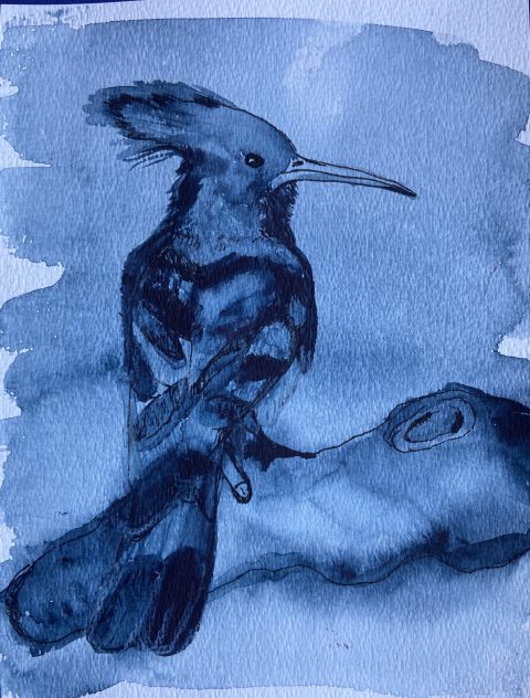 Hop met penis - mixed media on paper - 24 x 32 cm