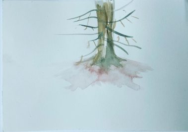 Aquarelle on paper